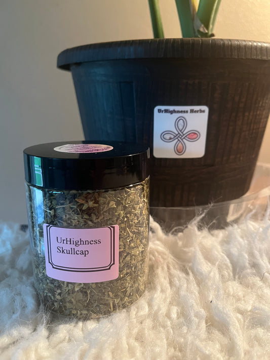 Urhighness Skullcap Tea 8oz