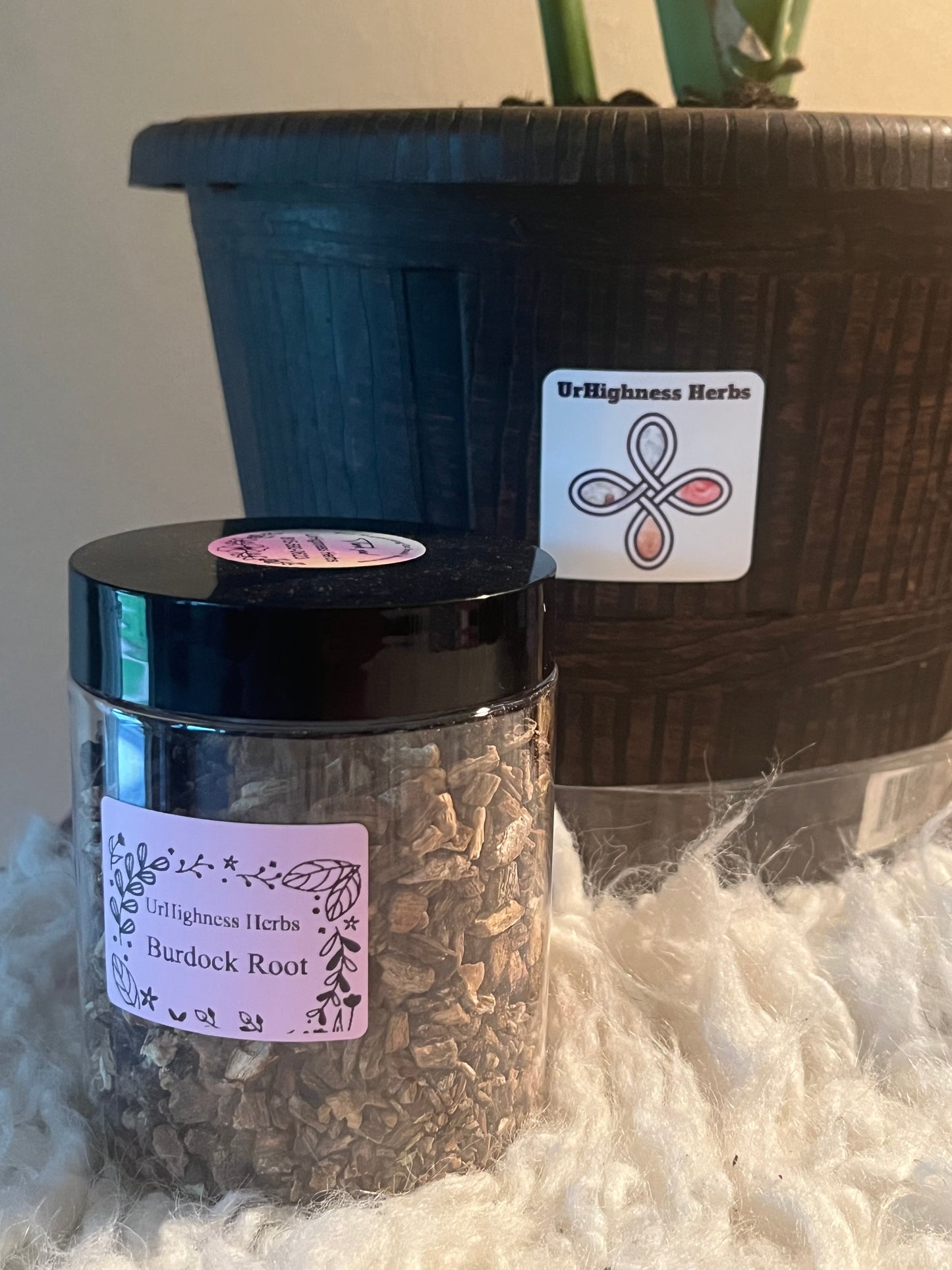 Burdock Root 8oz