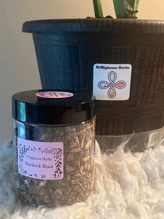 Burdock Root 8oz