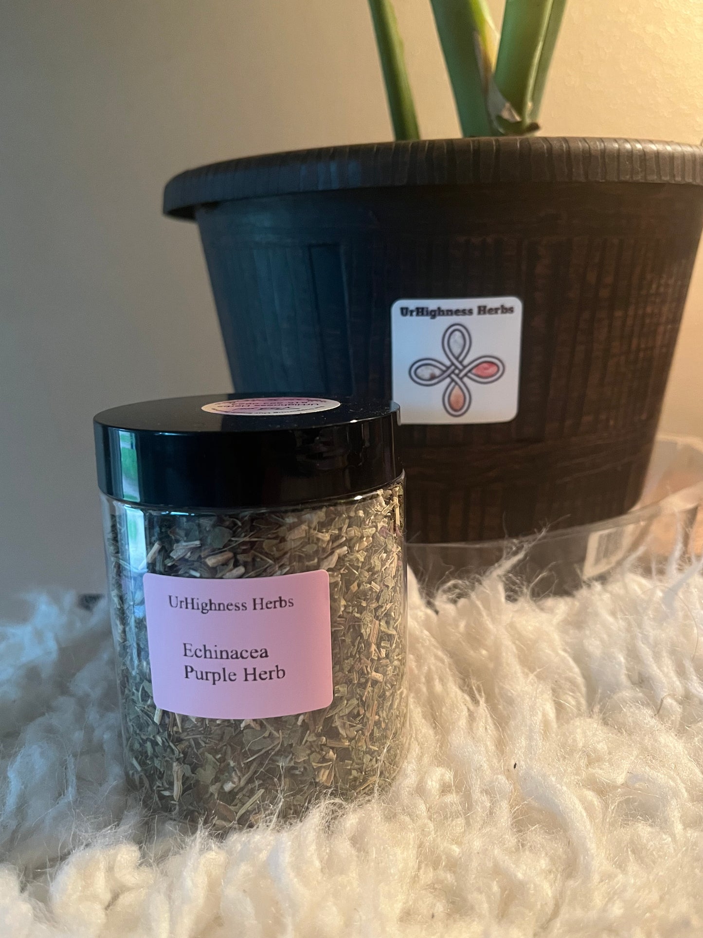 Echinacea Purple Herb 8oz