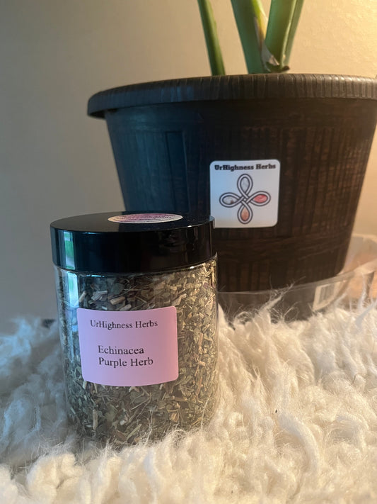 Echinacea Purple Herb 8oz