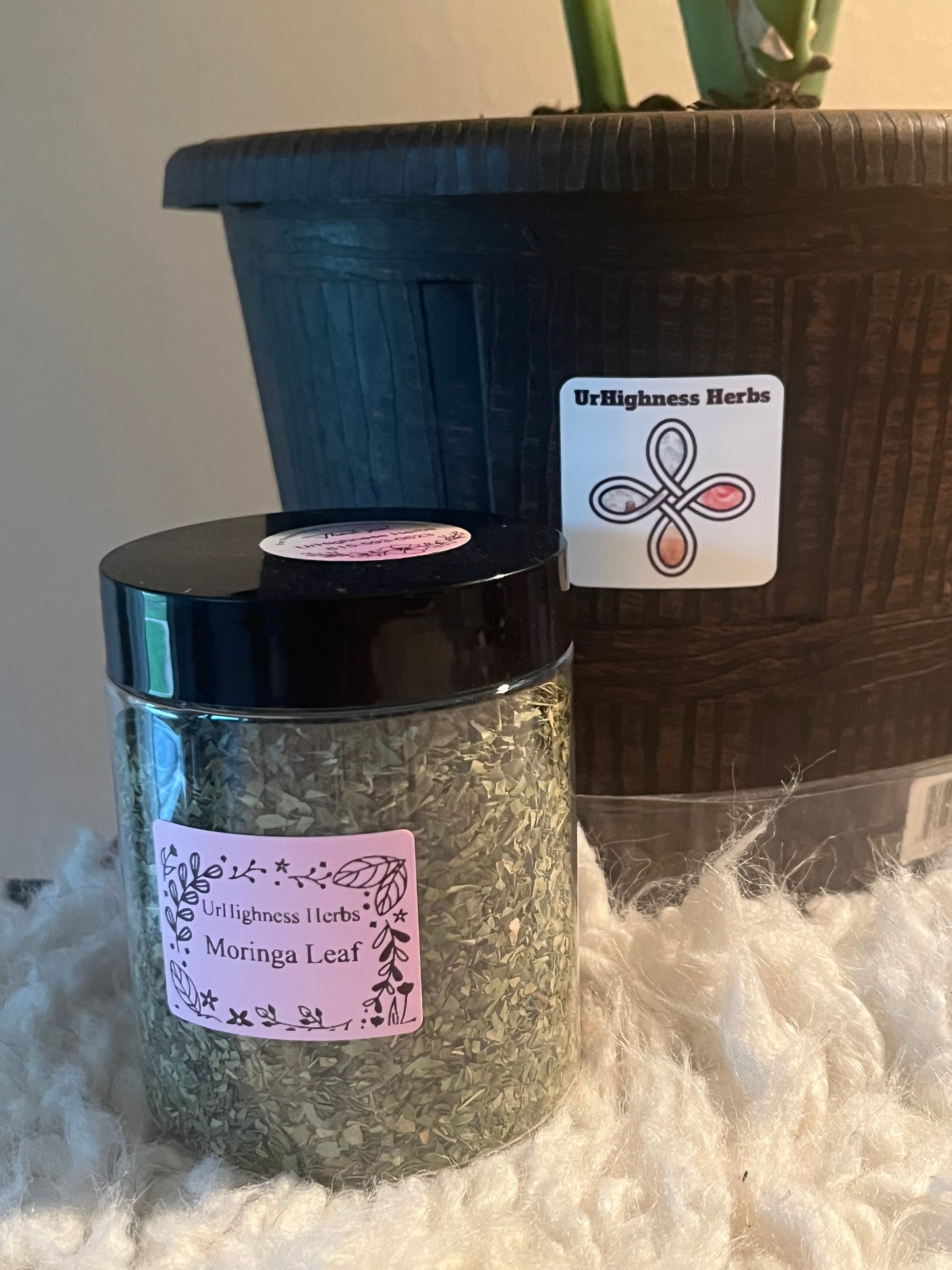 Moringa Leaf 8oz