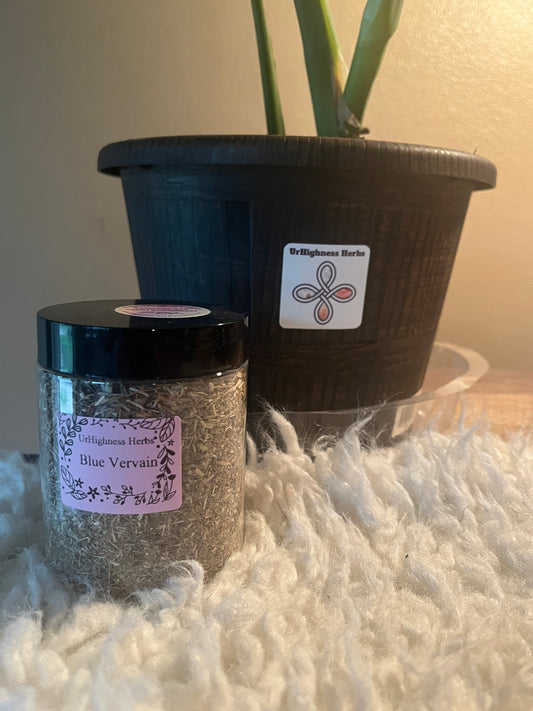 Blue Vervain 8oz